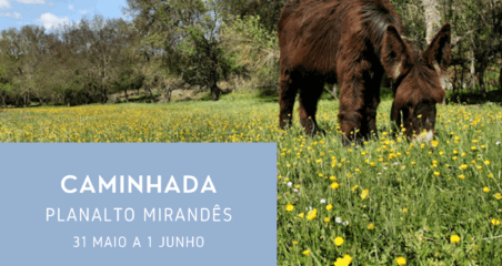 Visita ao Planalto Mirandês