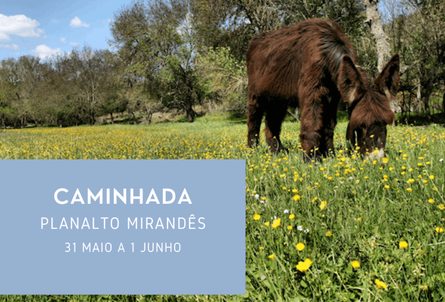 Visita ao Planalto Mirandês
