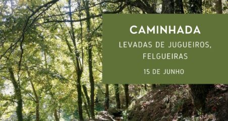 Caminhada Levadas de Jugueiros