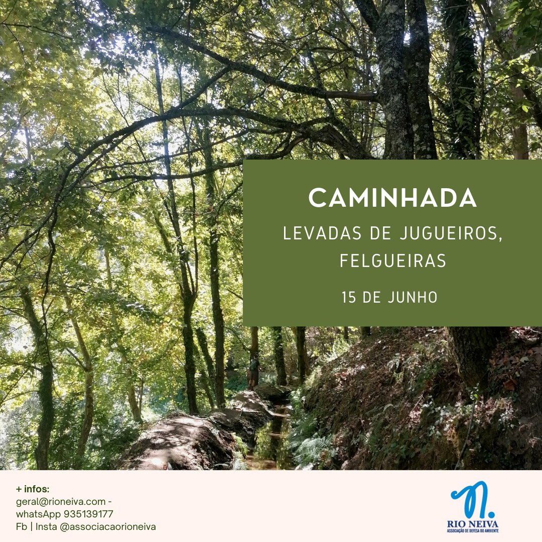 Caminhada Levadas de Jugueiros