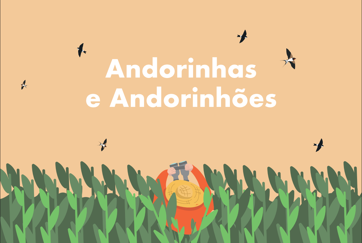Andorinhas e Andorinhões