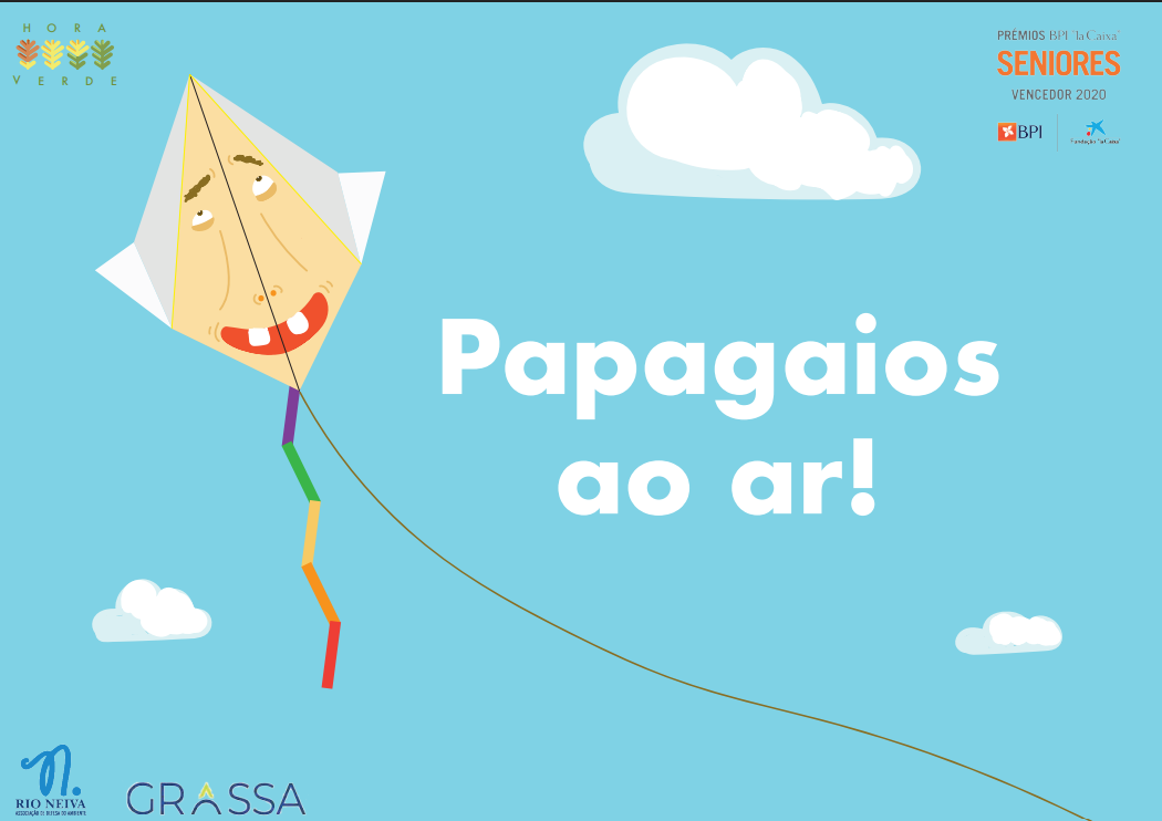 Papagaios ao ar